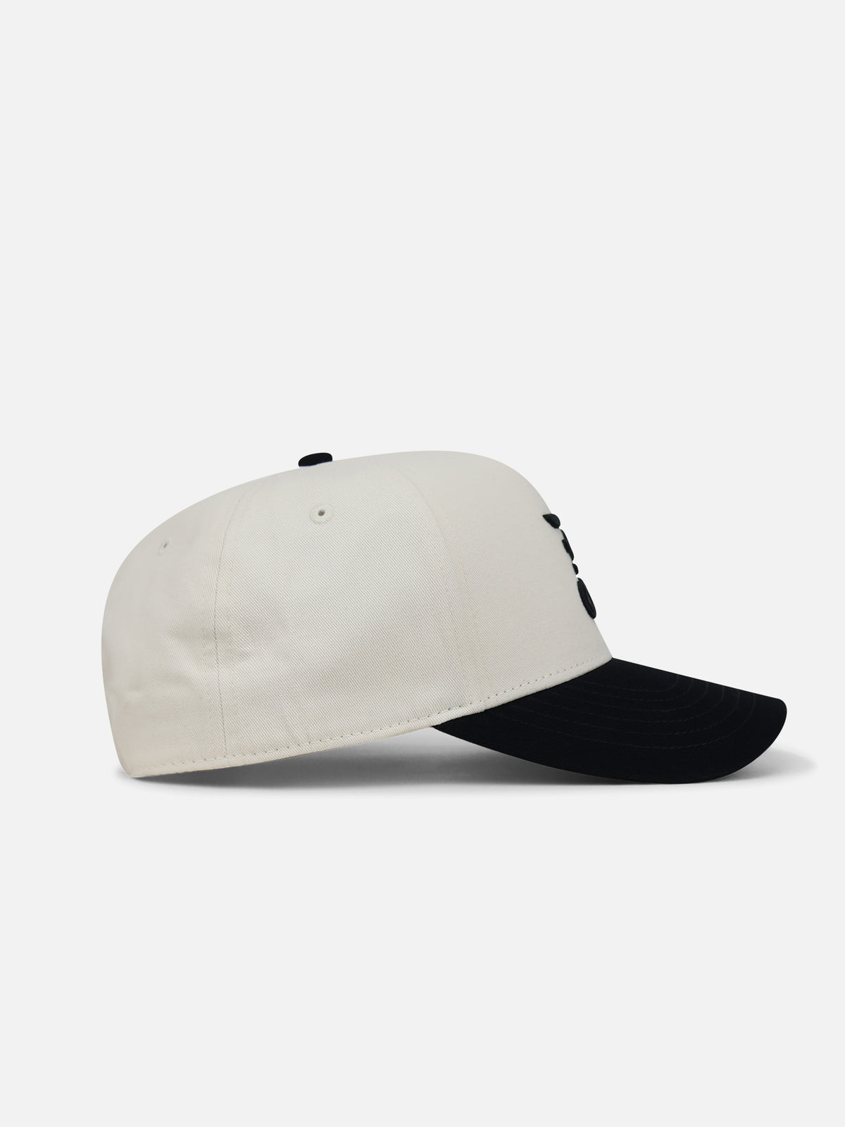 Aviator Hat